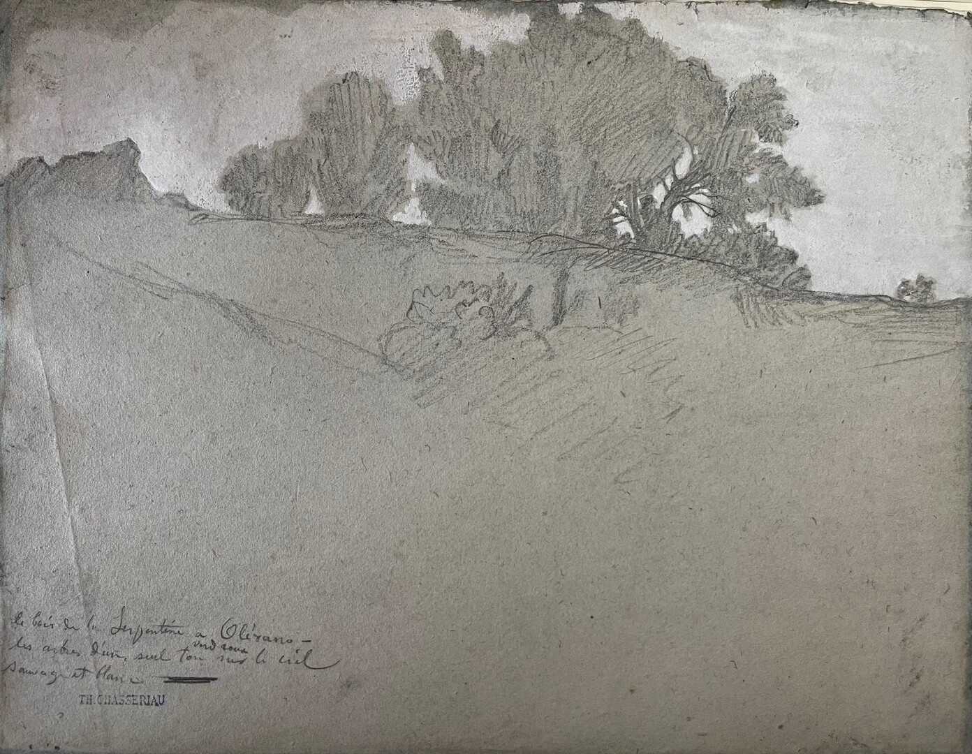 Théodore Chassériau (1819-1856), Le Bois de la Serpentine à Olevano, vers 1841, crayon graphite et lavis de gouache, 22,2x28,6 cm, inv. 2025.25.1